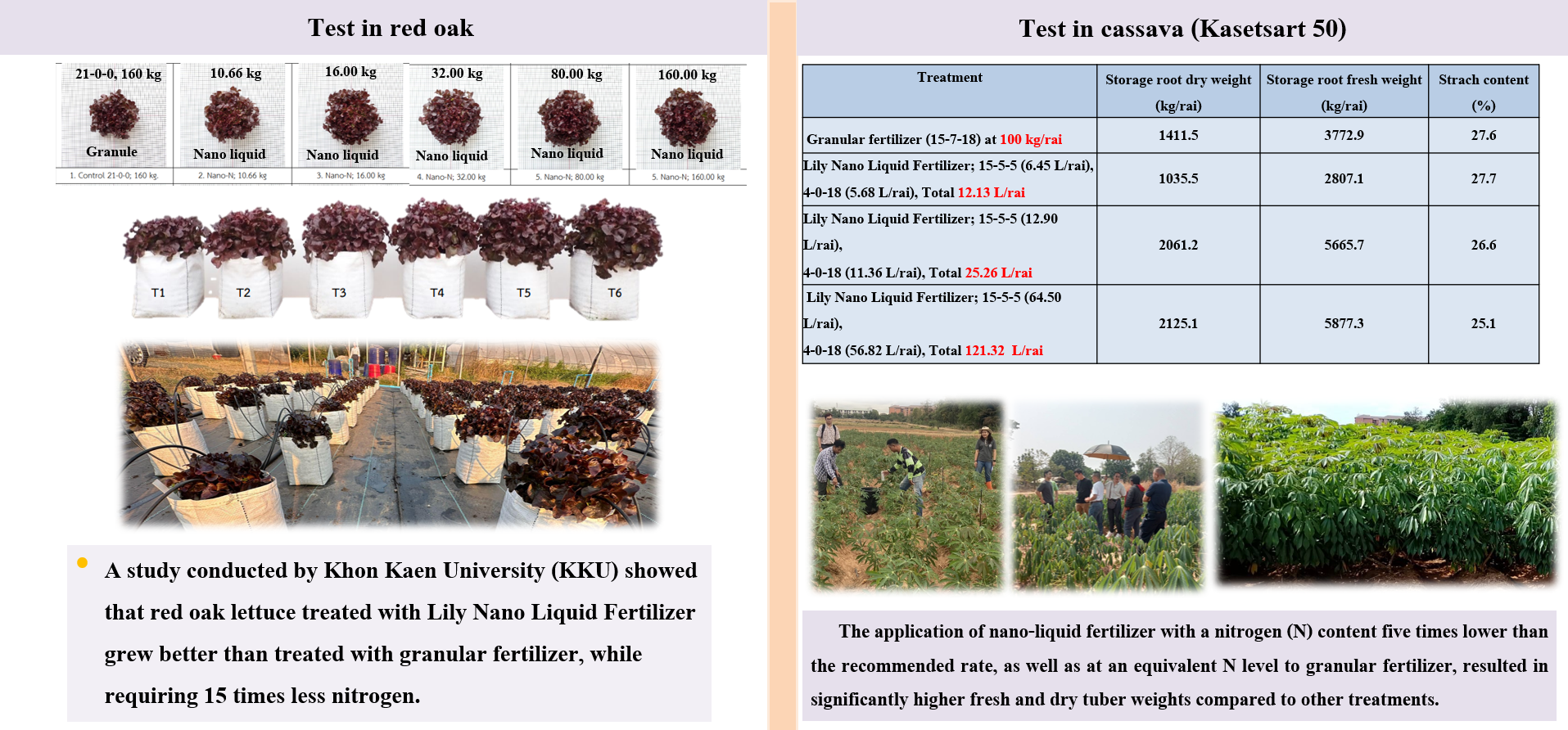 The study on Granular and Lily Nano liquid Fertilizer