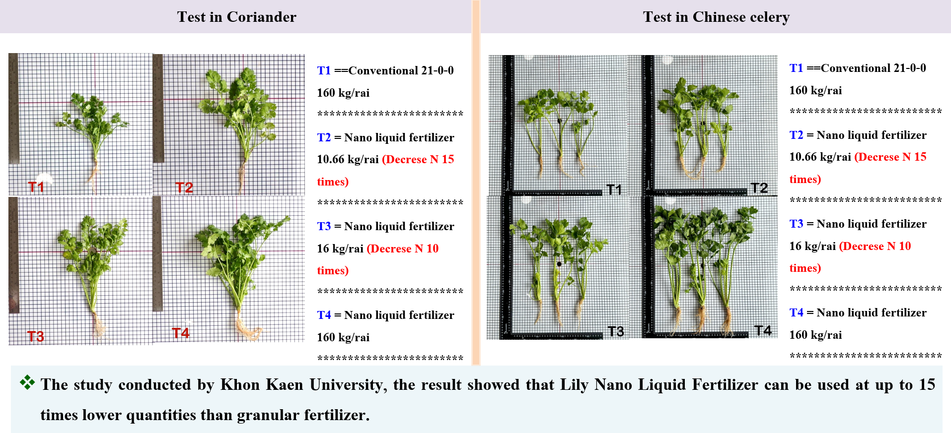 The study on Granular and Lily Nano liquid Fertilizer