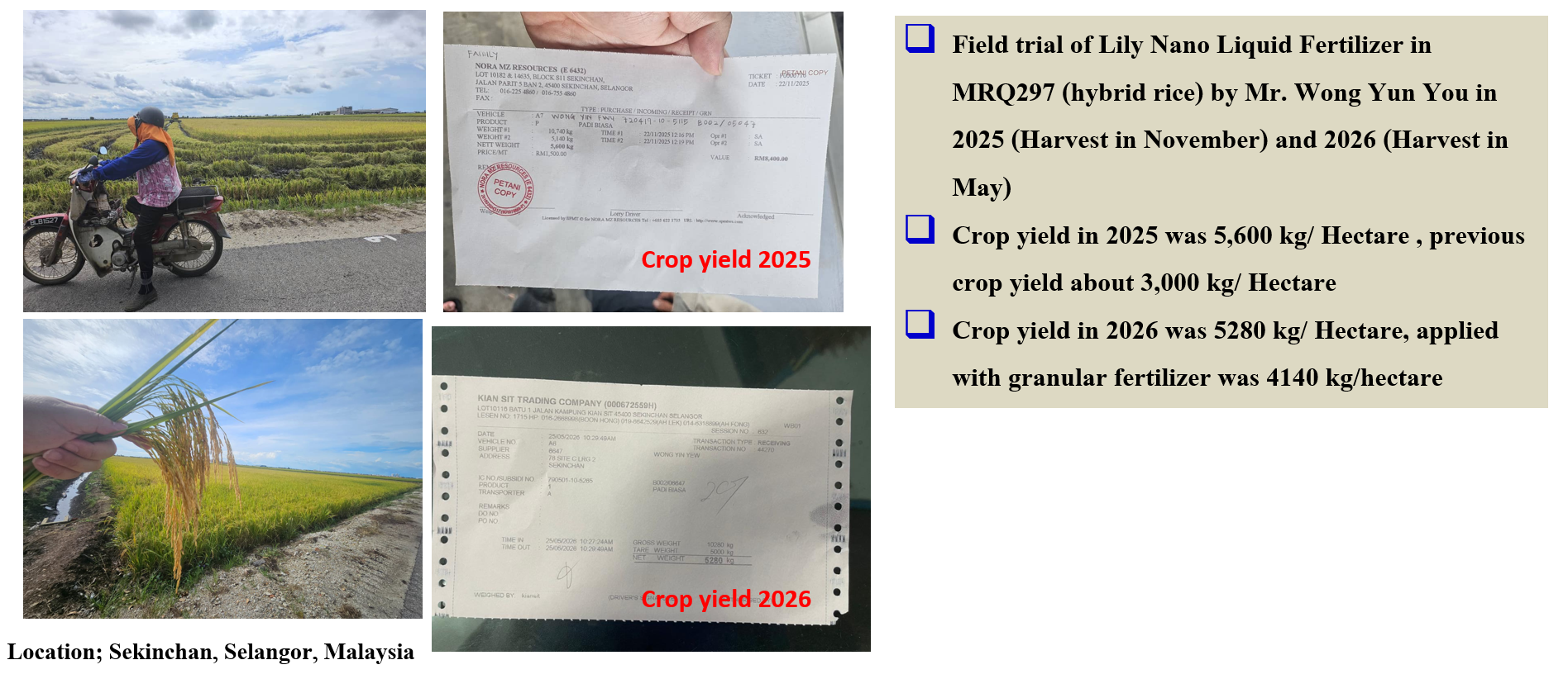 The study on Granular and Lily Nano liquid Fertilizer