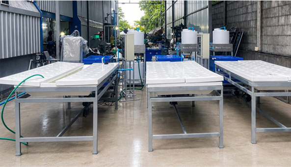 Root Cooling system